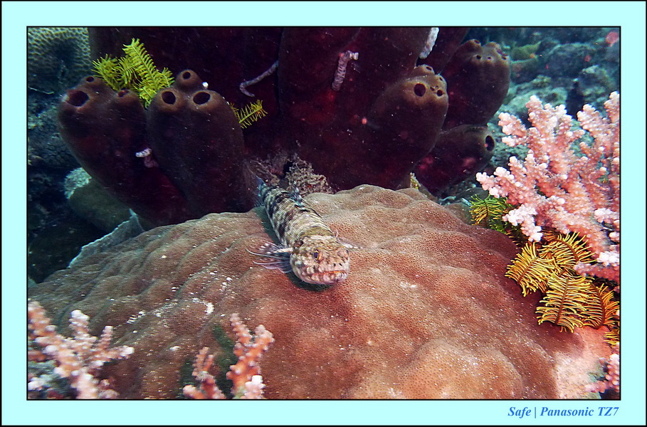 2011 - 08 - Borneo - Mantabuan 01